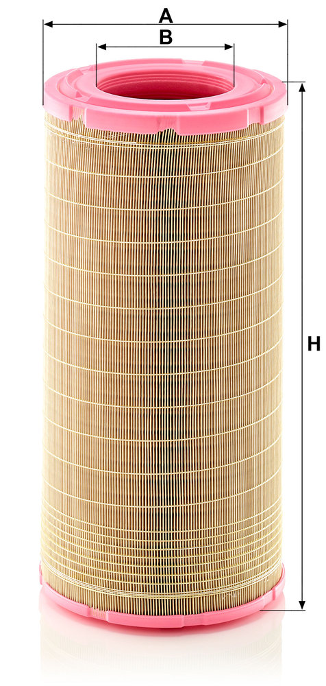 MANN F.ARIA CASE