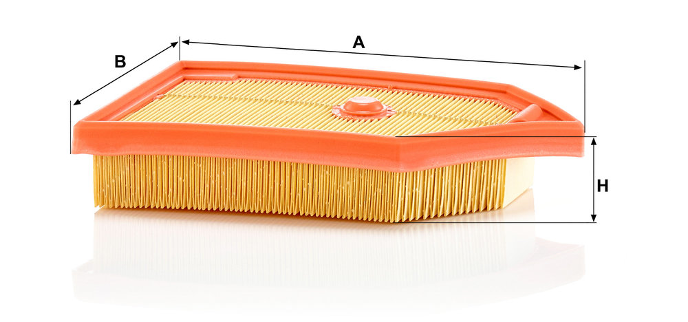 MANN F.ARIA