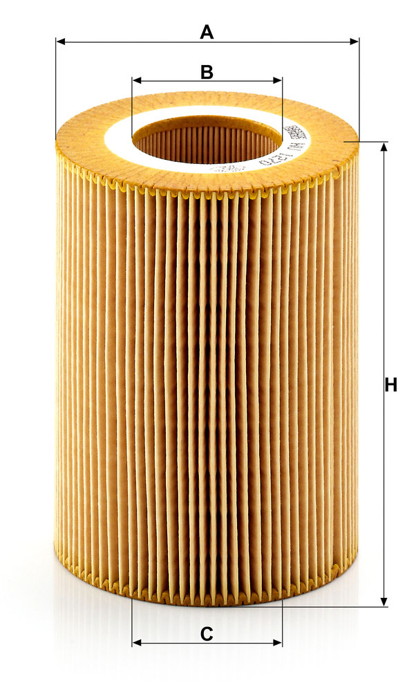 MANN F.OLIO V.INDUSTRIALI DAF