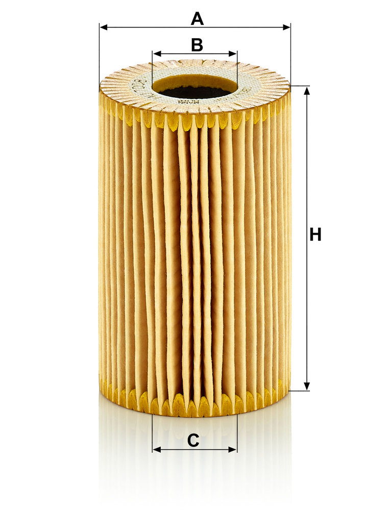 MANN F.OLIO AUDI