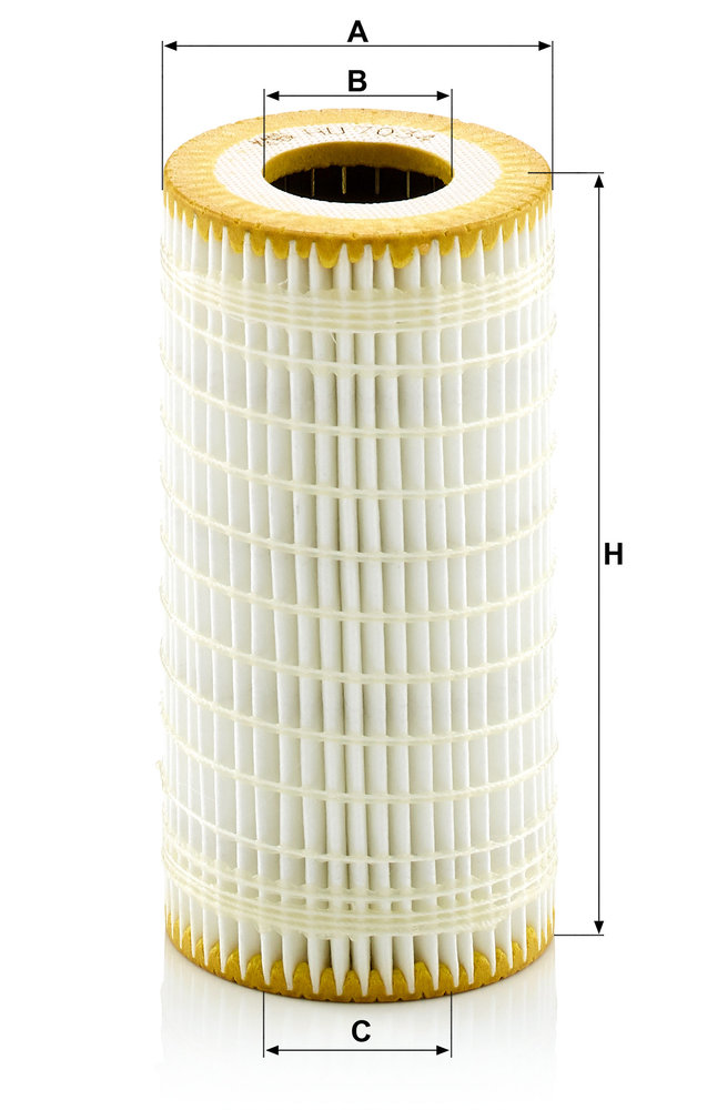 MANN F.OLIO