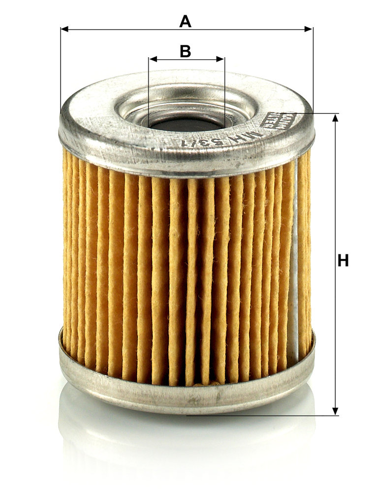 MANN F.OLIO C.MOTORI