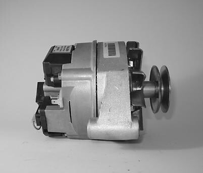 AL RIG - C - GRUPPO VAG