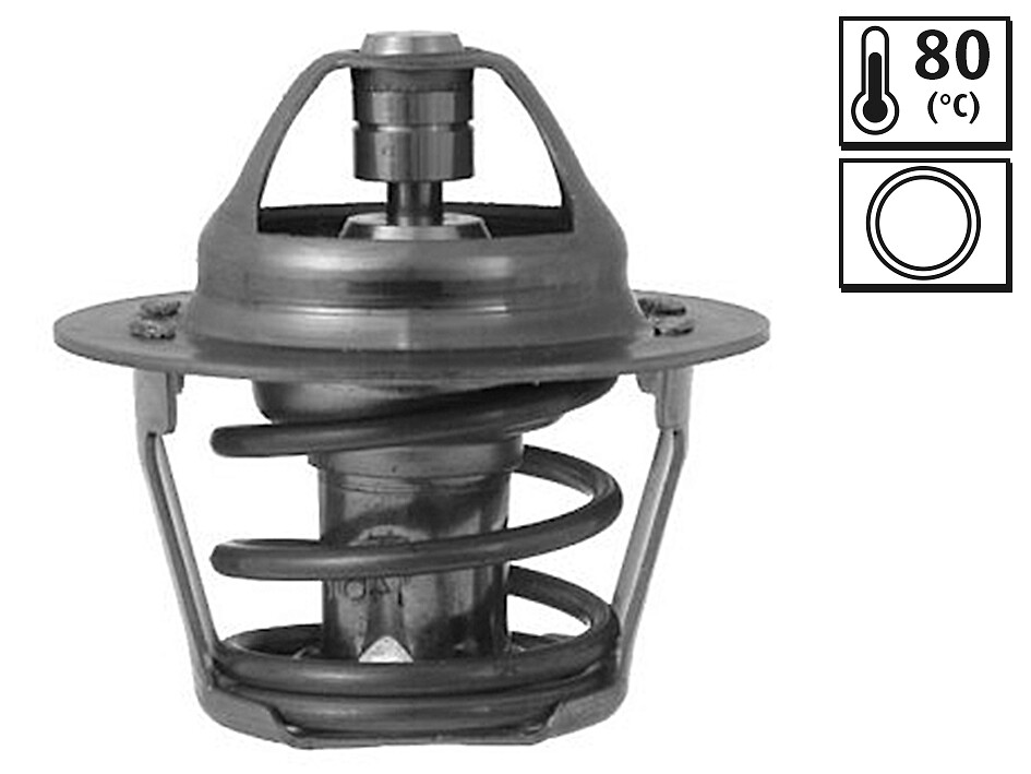 TERMOSTATO-ANNULLATO