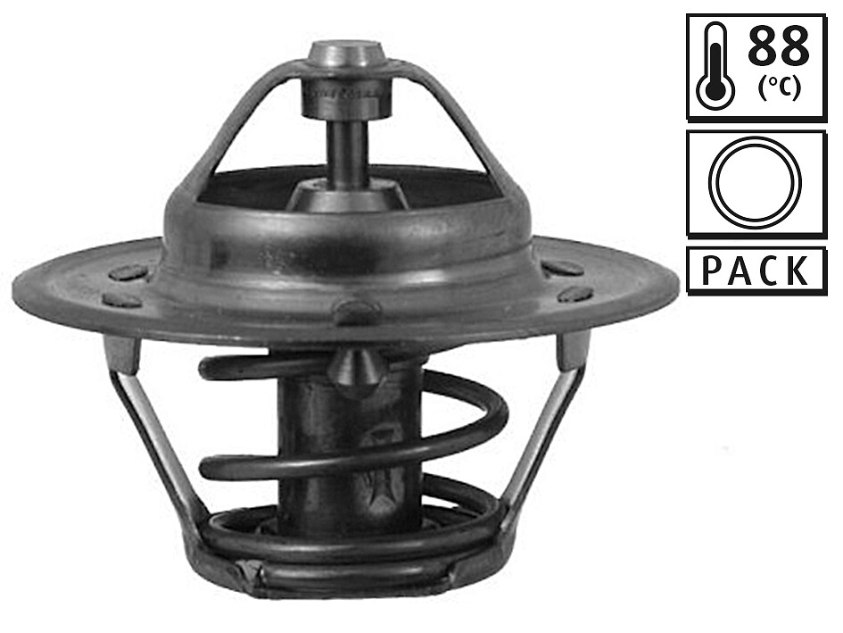 https://images.inforicambi.com/10021/THERMOSTAT_819846_01.JPG