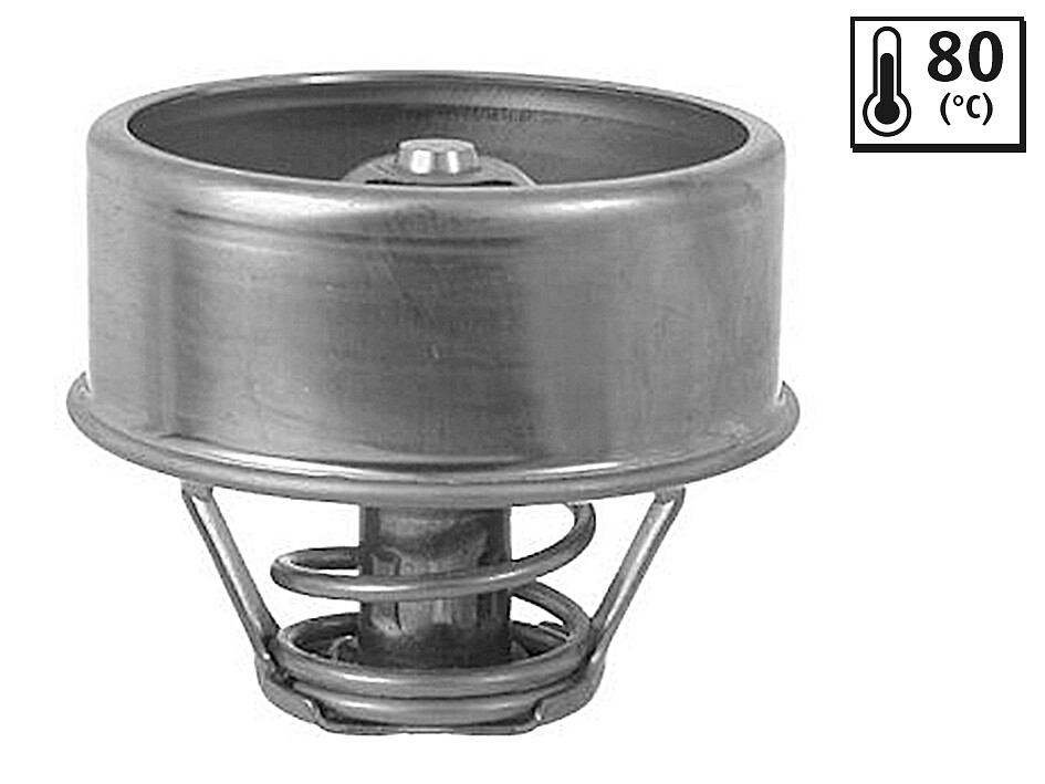 TERMOSTATO-ANNULLATO