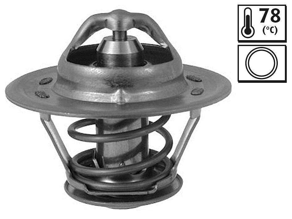 TERMOSTATO - ANNULLATO