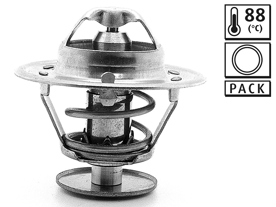 TERMOSTATO-ANNULLATO