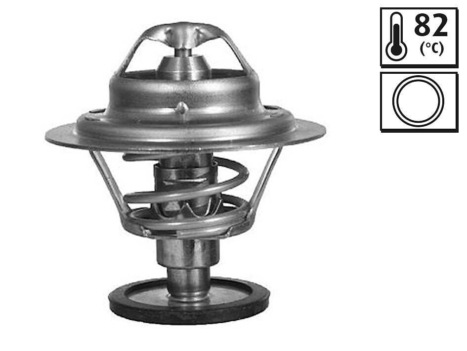 https://images.inforicambi.com/10021/THERMOSTAT_819885_01.JPG
