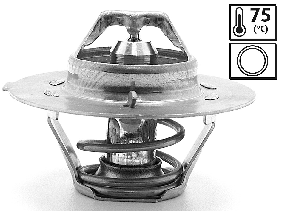 TERMOSTATO, REFRIGERANTE