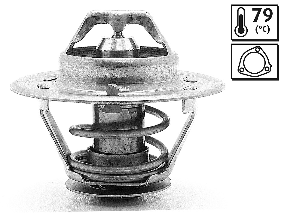 ST RENAULT TRAFIC, MASTER II