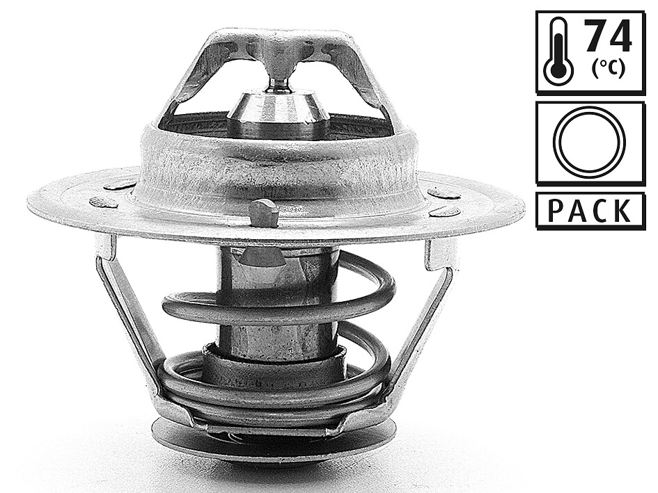 ST RENAULT MASTER, TRAFIC / OPEL ARENA