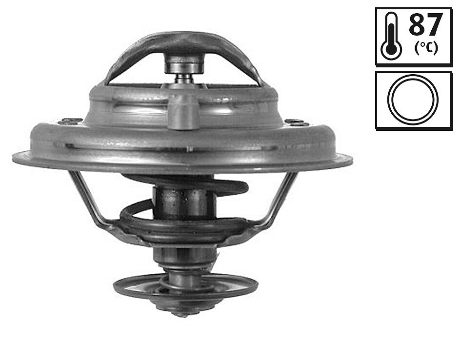 TERMOSTATO-ANNULLATO