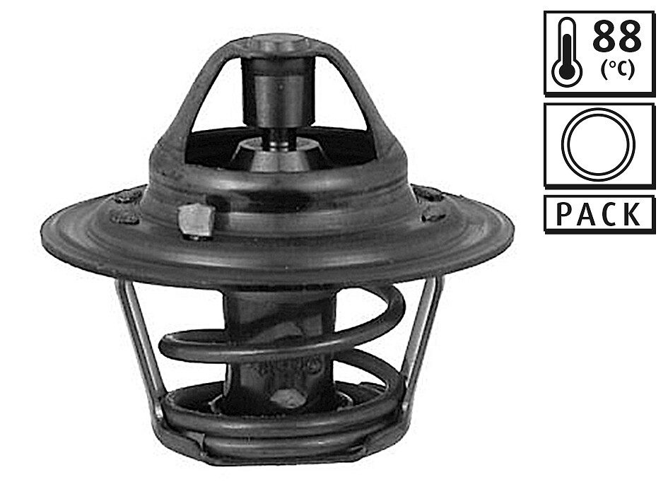 TERMOOST .  88 C+giunto Ford Escort / Galaxy