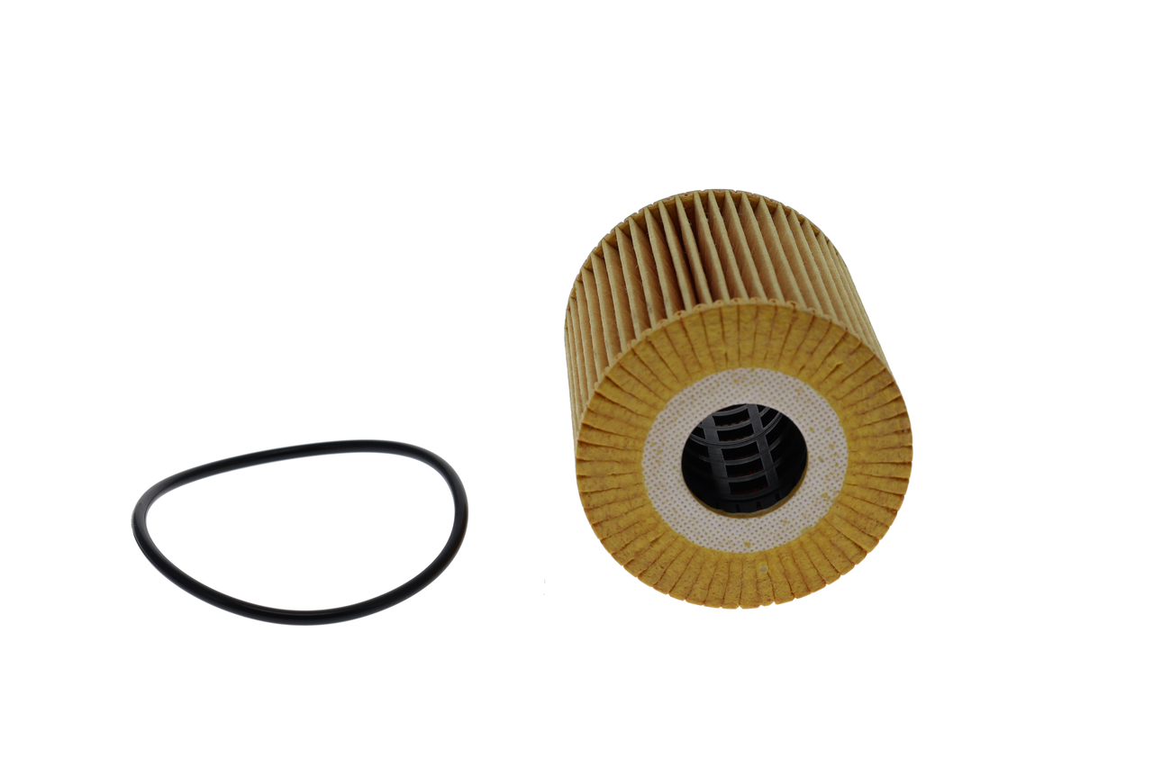 Filtro Olio motore