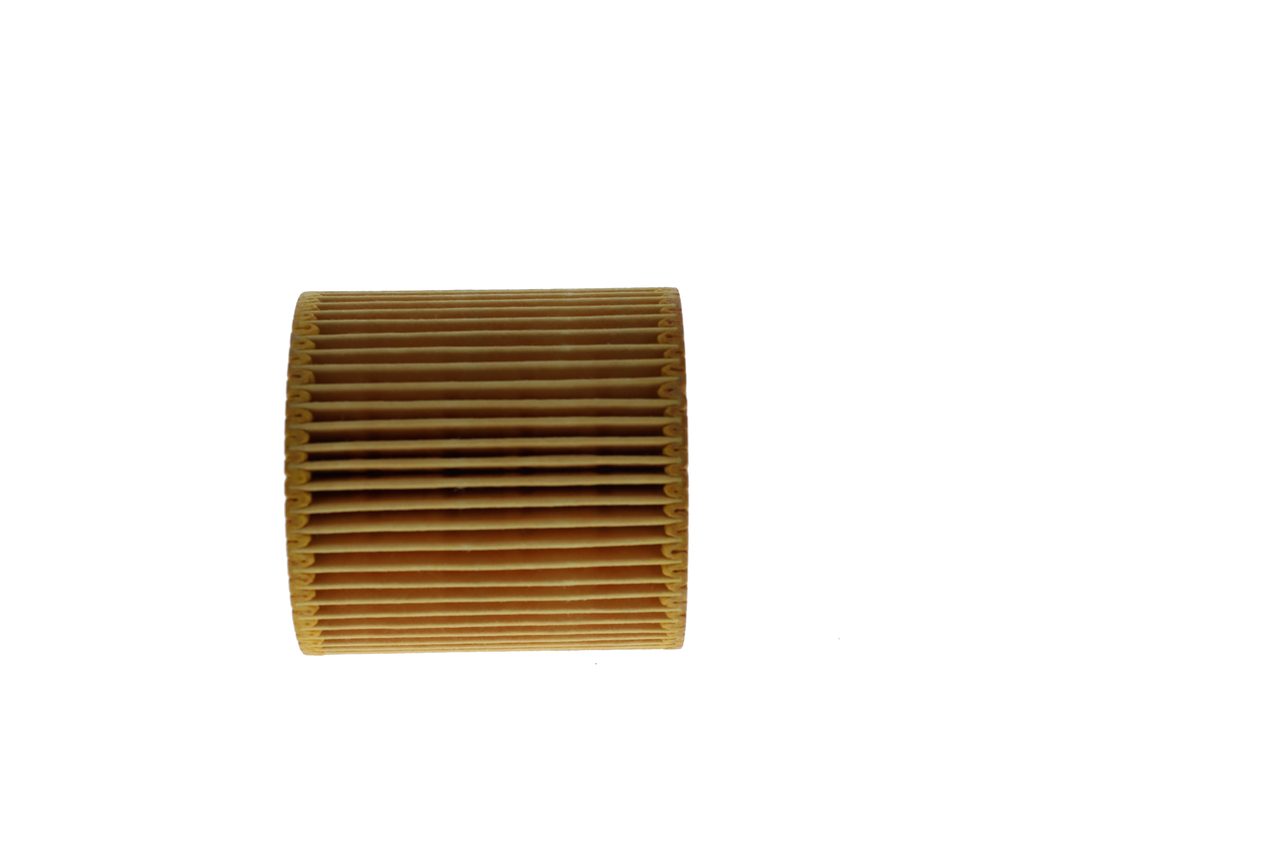 Filtro Olio motore