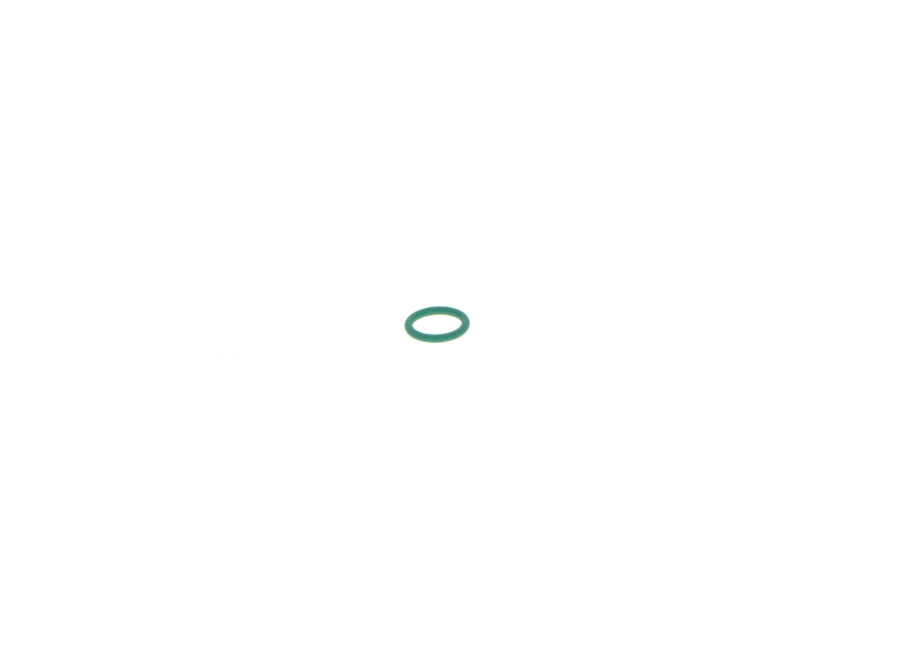 O-RING