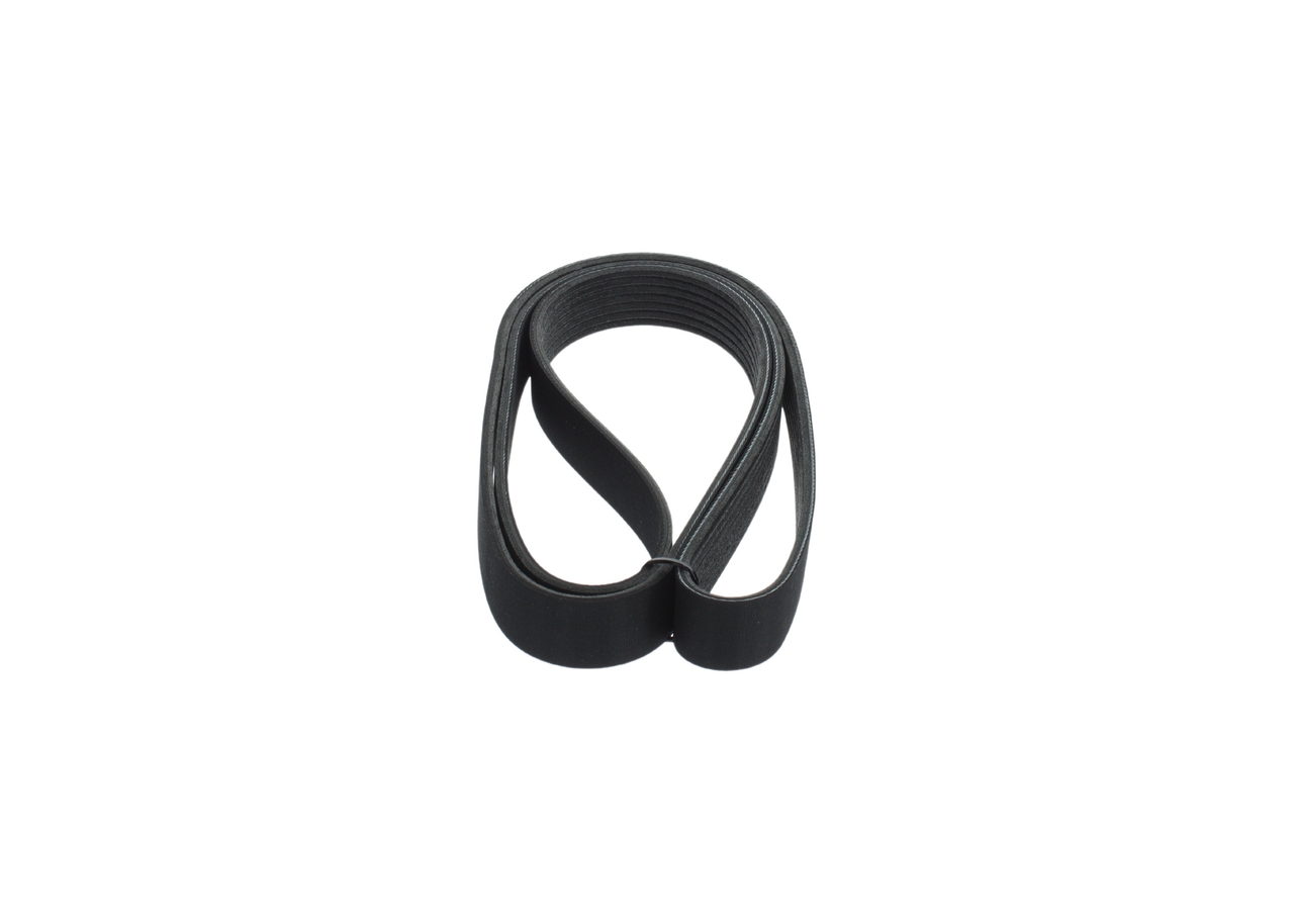 CINGHIA POLY-V