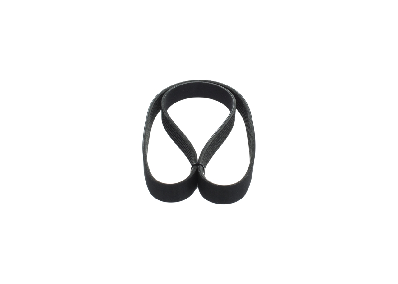 CINGHIA POLY-V