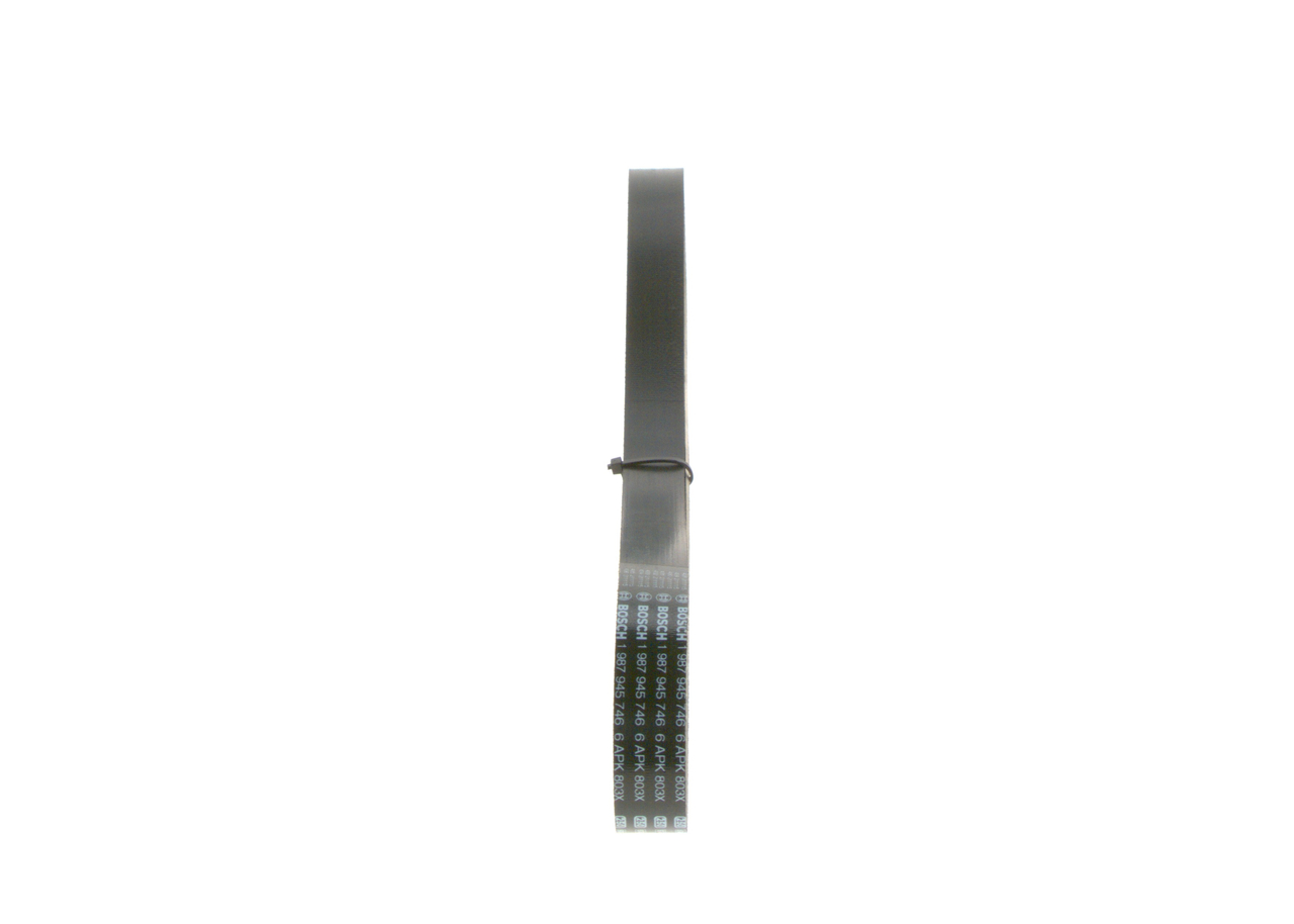 BOSCH CINGHIE POLY-V
