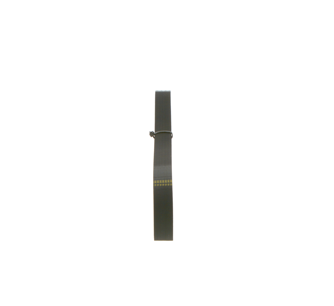 CINGHIA POLY-V