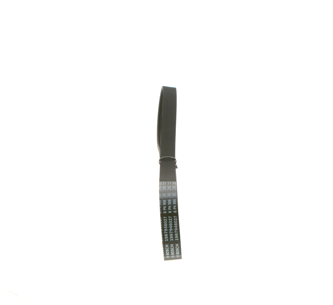 CINGHIA POLY-V