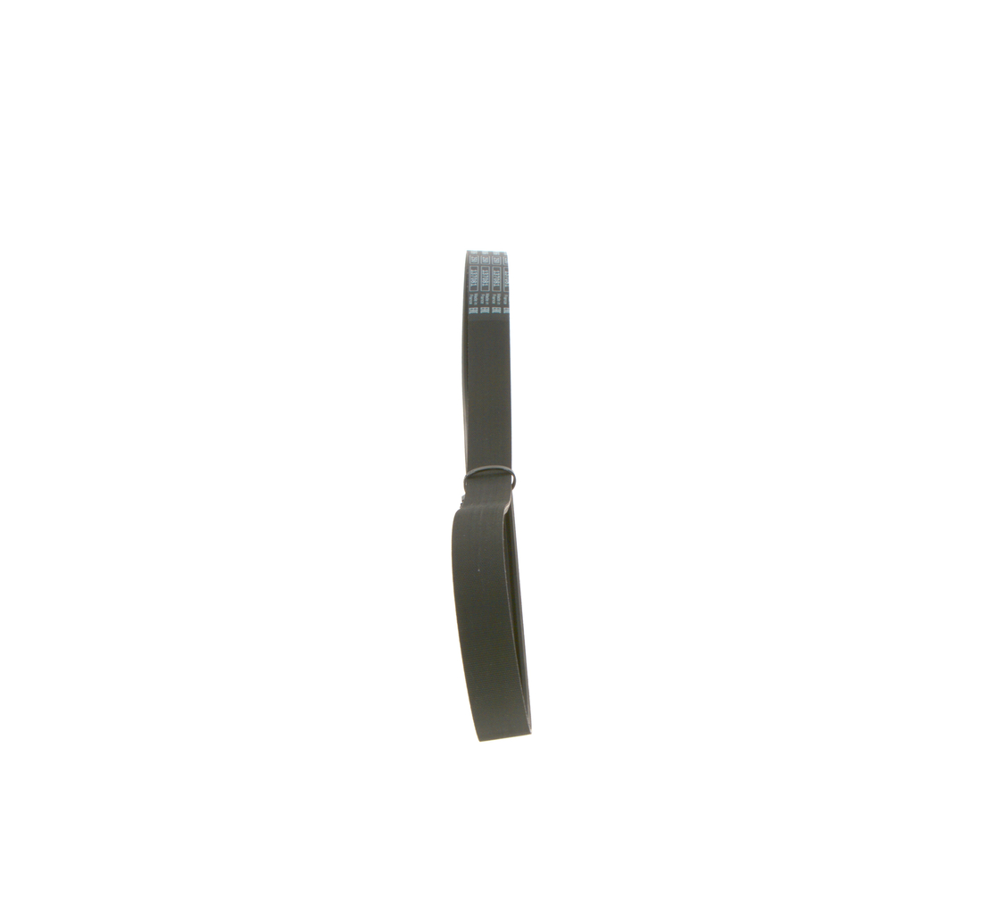 CINGHIA POLY-V