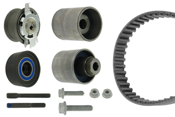KIT CINGHIE DENTATE