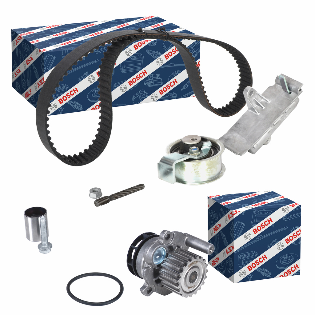 Set PompaCinghia Dentata