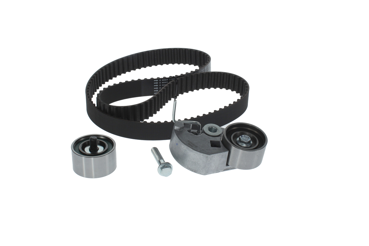 KIT CINGHIE DENTATE