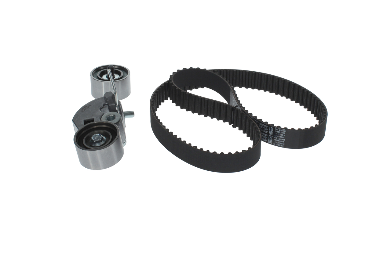 KIT CINGHIE DENTATE