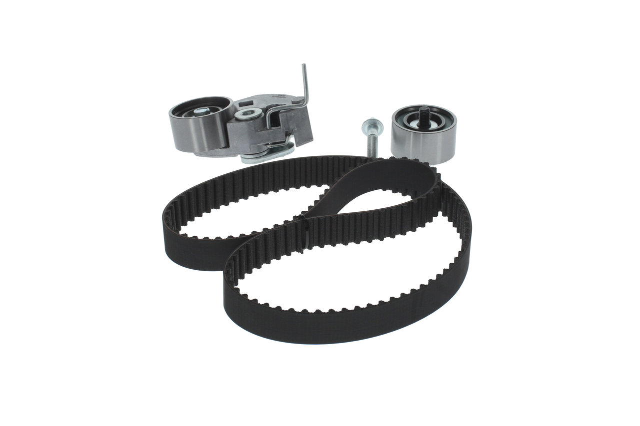 KIT CINGHIE DENTATE