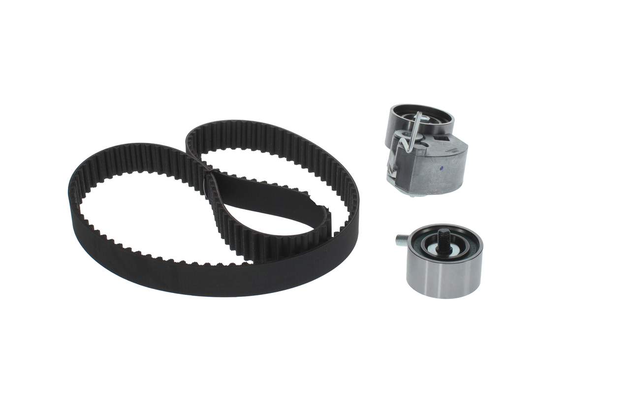 KIT CINGHIE DENTATE