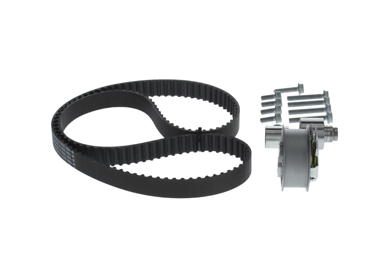 KIT CINGHIE DENTATE