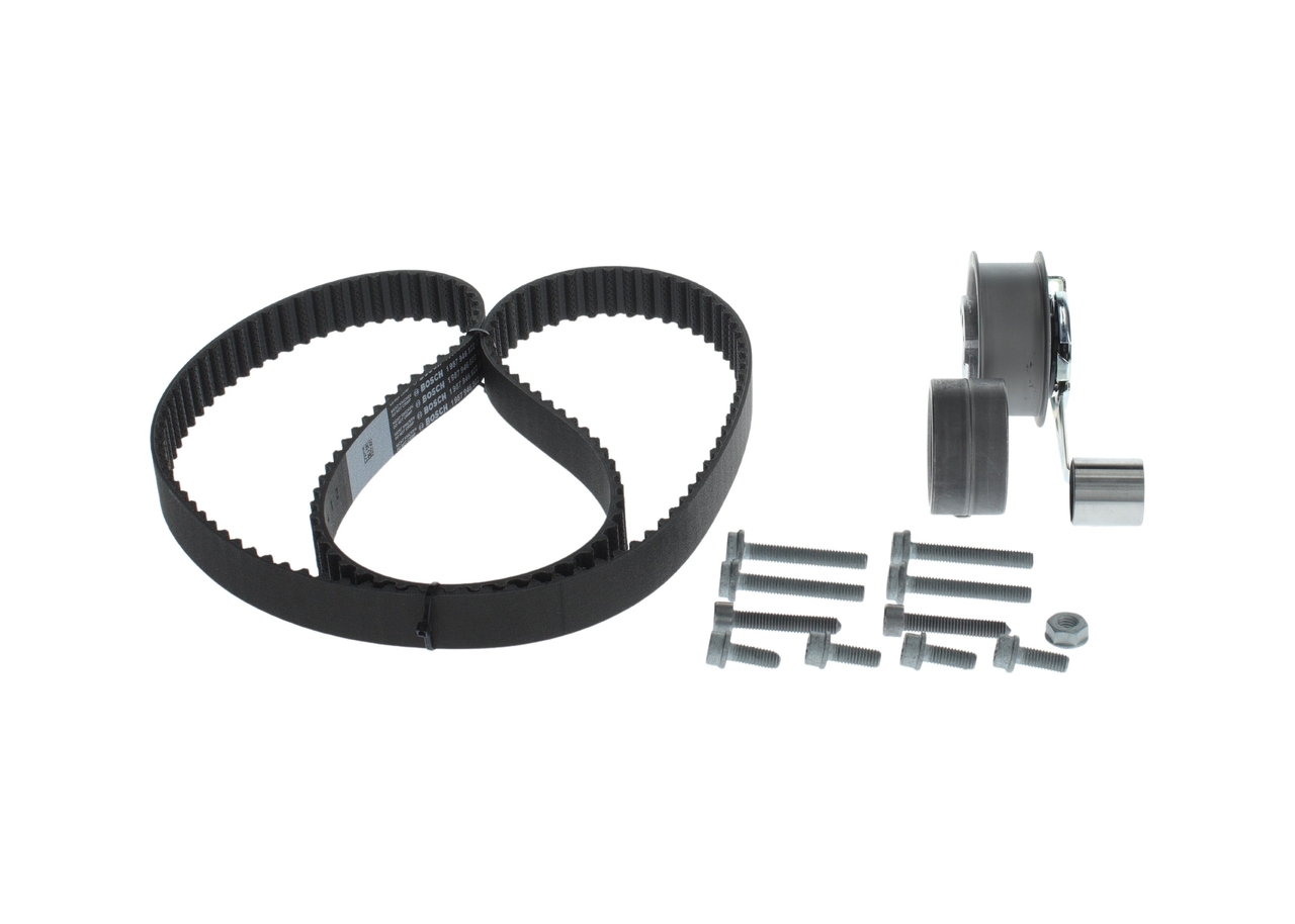 KIT CINGHIE DENTATE