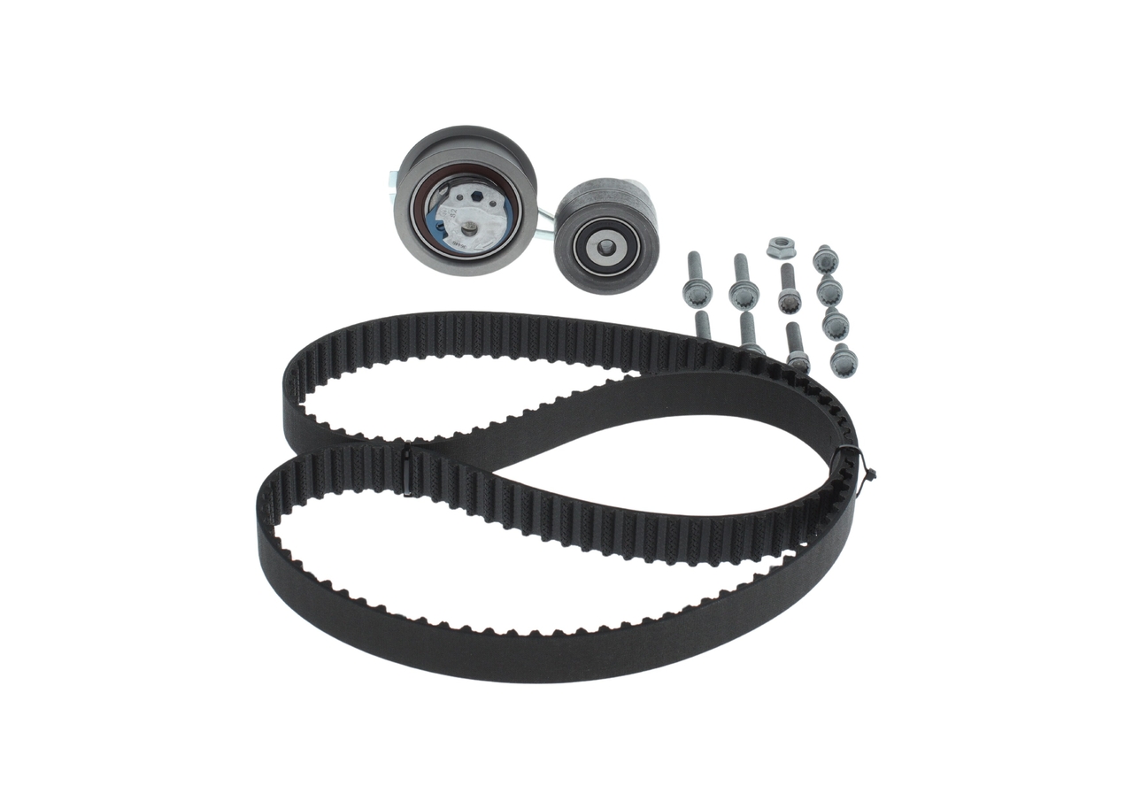 KIT CINGHIE DENTATE