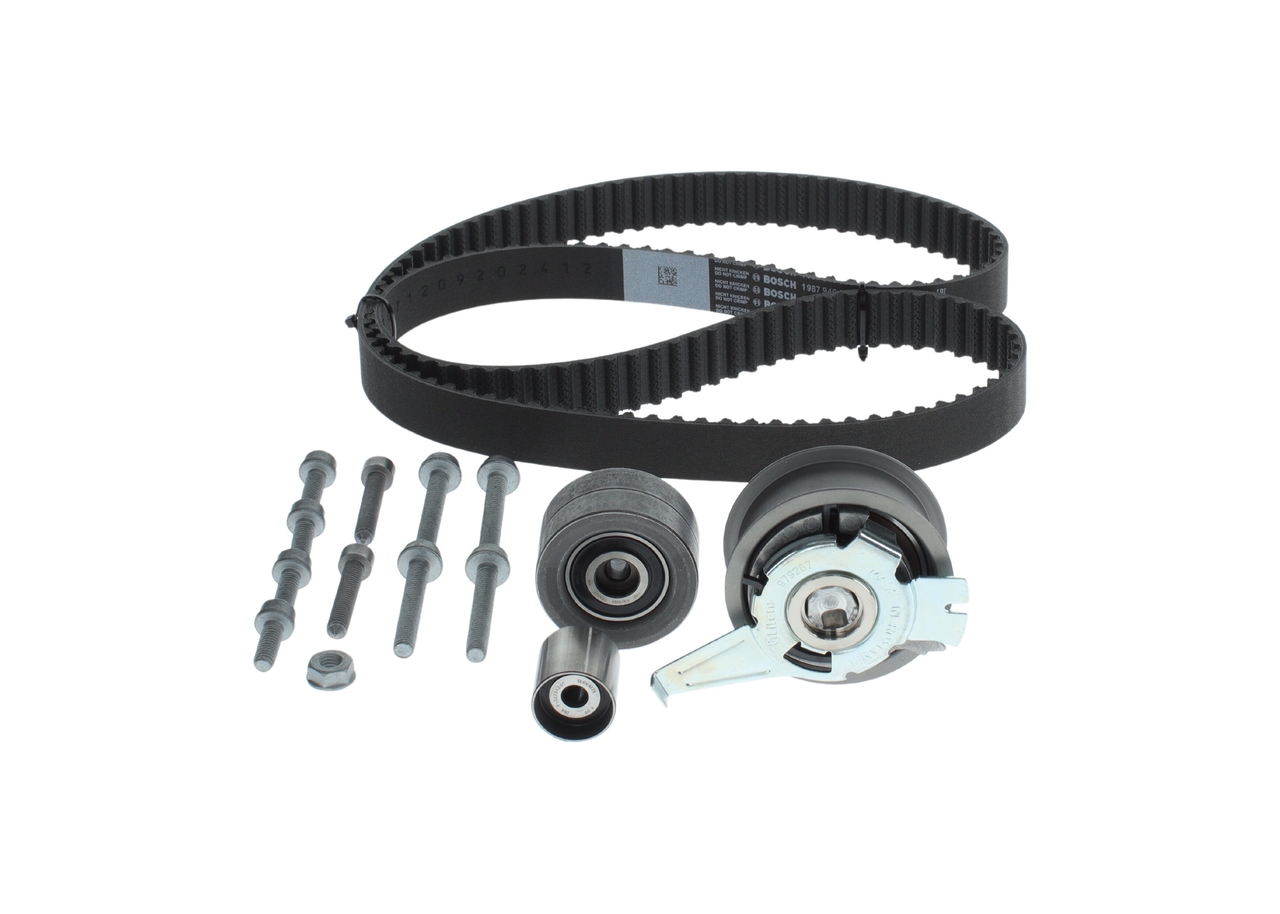 KIT CINGHIE DENTATE