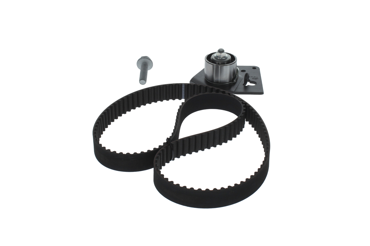 SET RULLICINGHIA DENTATA