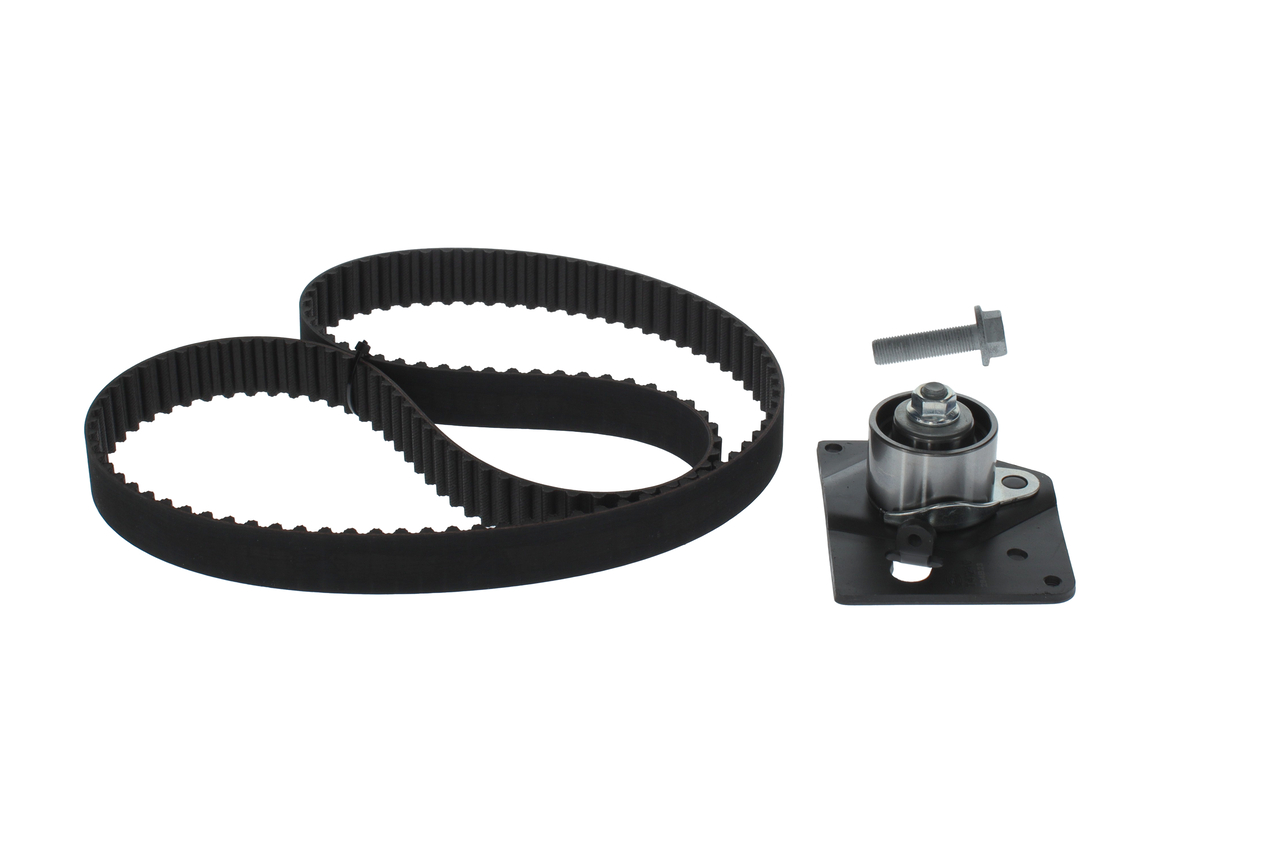 SET RULLICINGHIA DENTATA