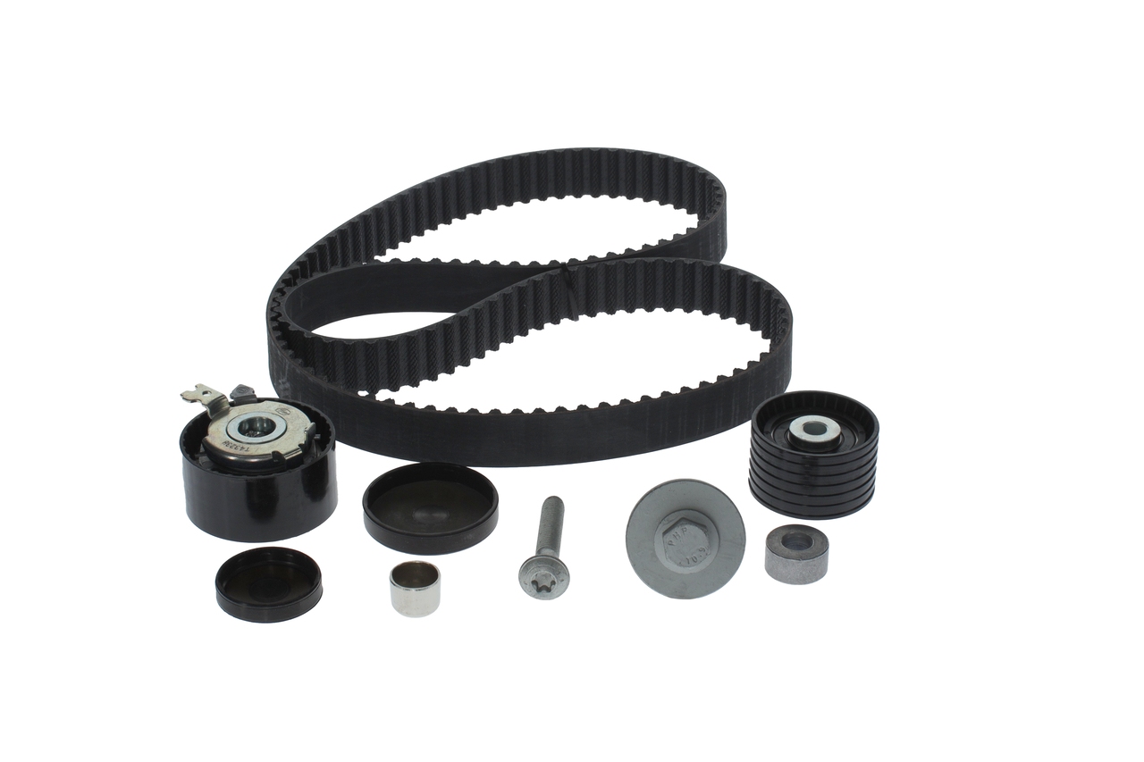 KIT CINGHIE DENTATE