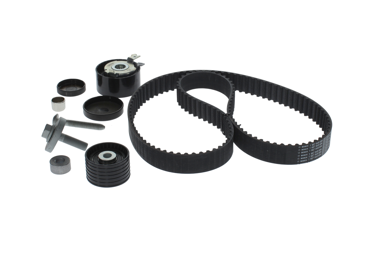 KIT CINGHIE DENTATE