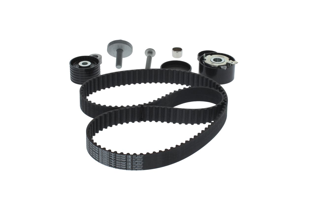 KIT CINGHIE DENTATE