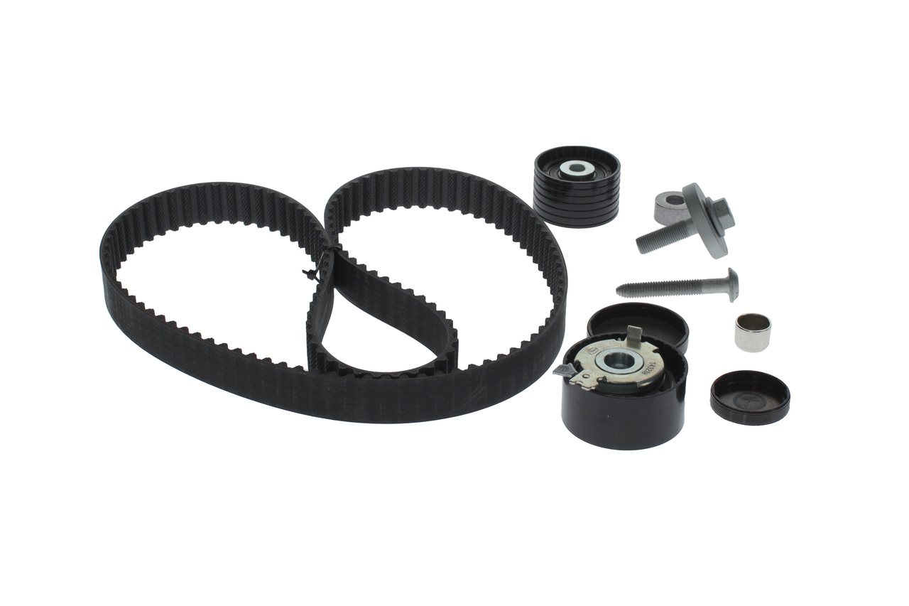 KIT CINGHIE DENTATE
