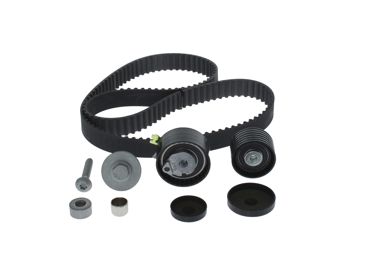 KIT CINGHIE DENTATE