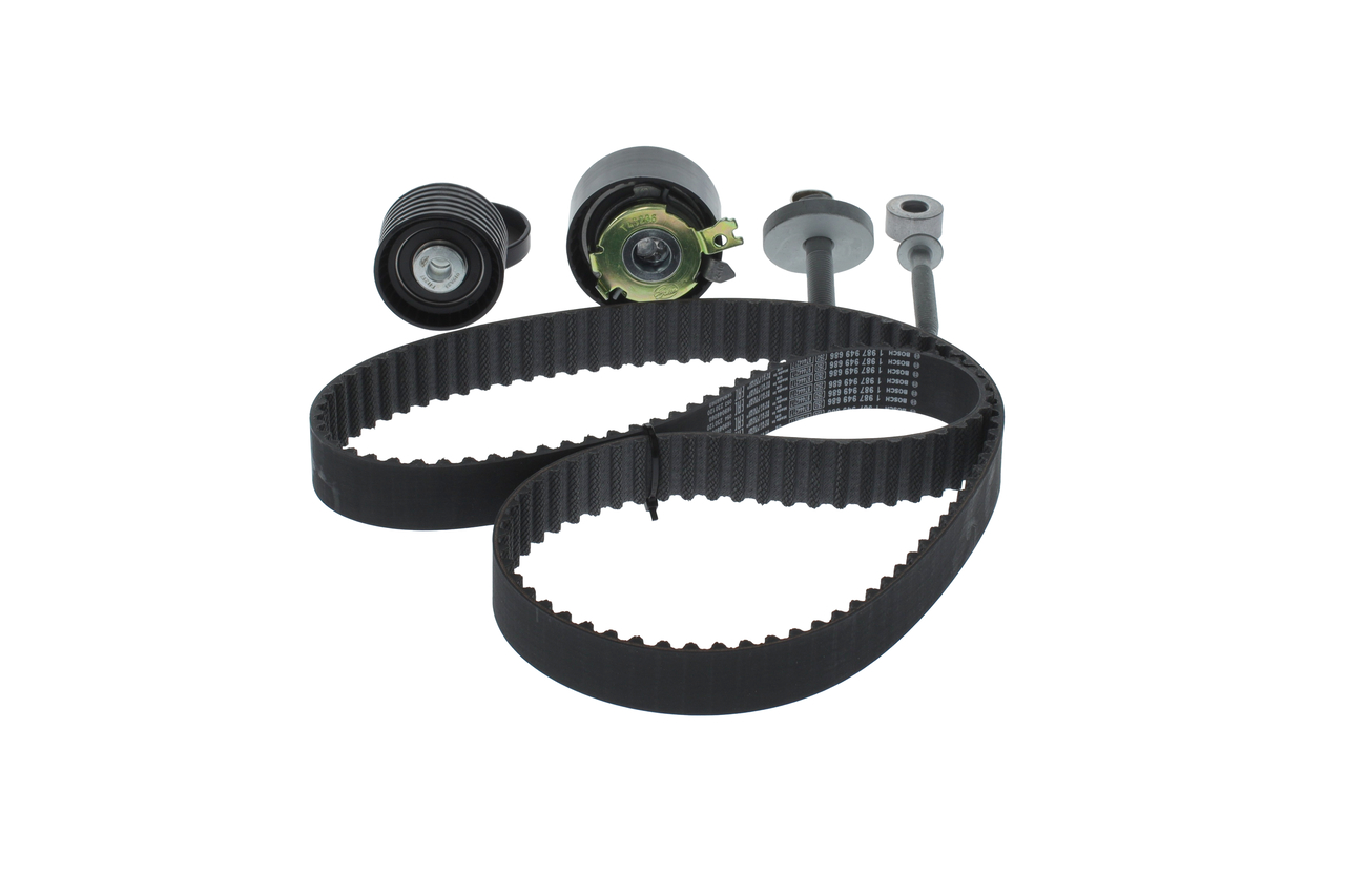 KIT CINGHIE DENTATE