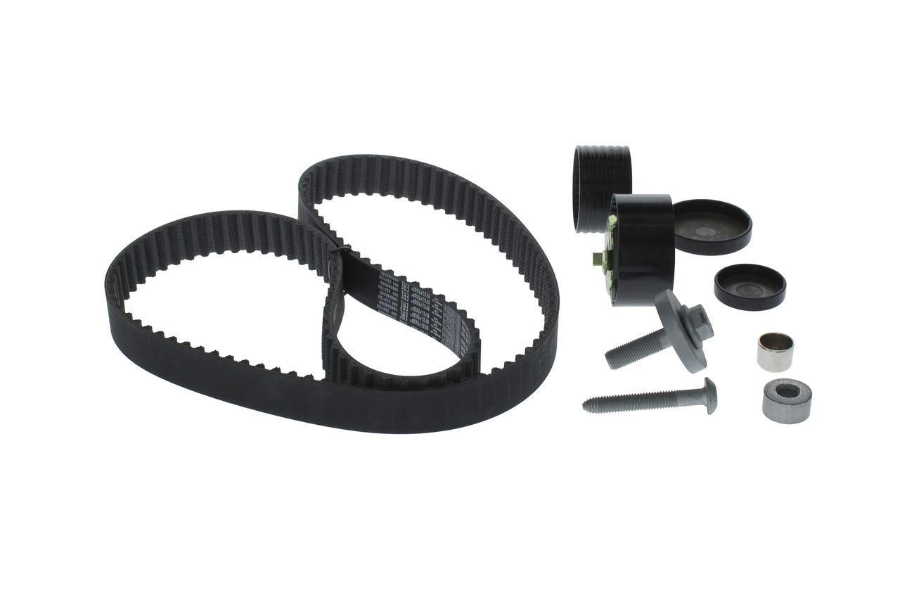 KIT CINGHIE DENTATE