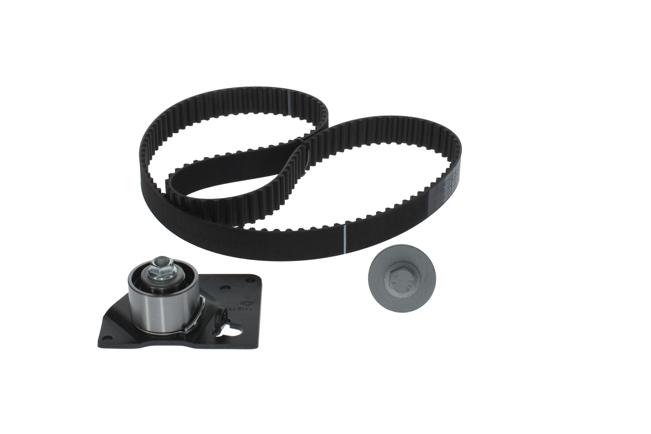 KIT CINGHIE DENTATE