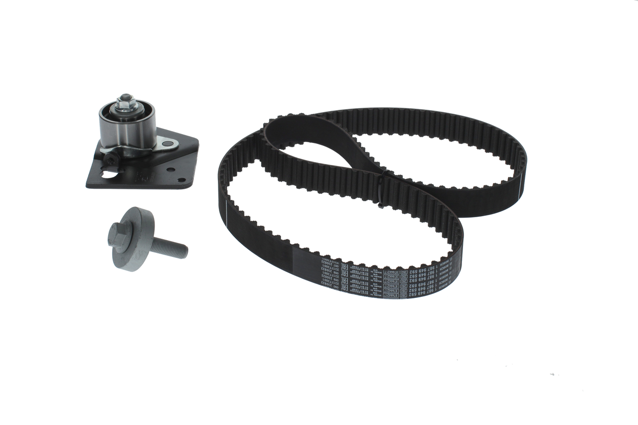 KIT CINGHIE DENTATE