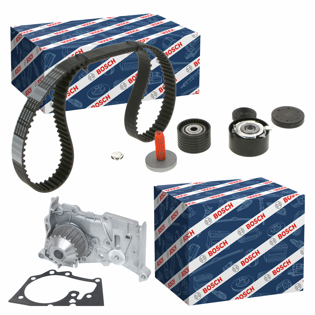 Set PompaCinghia Dentata