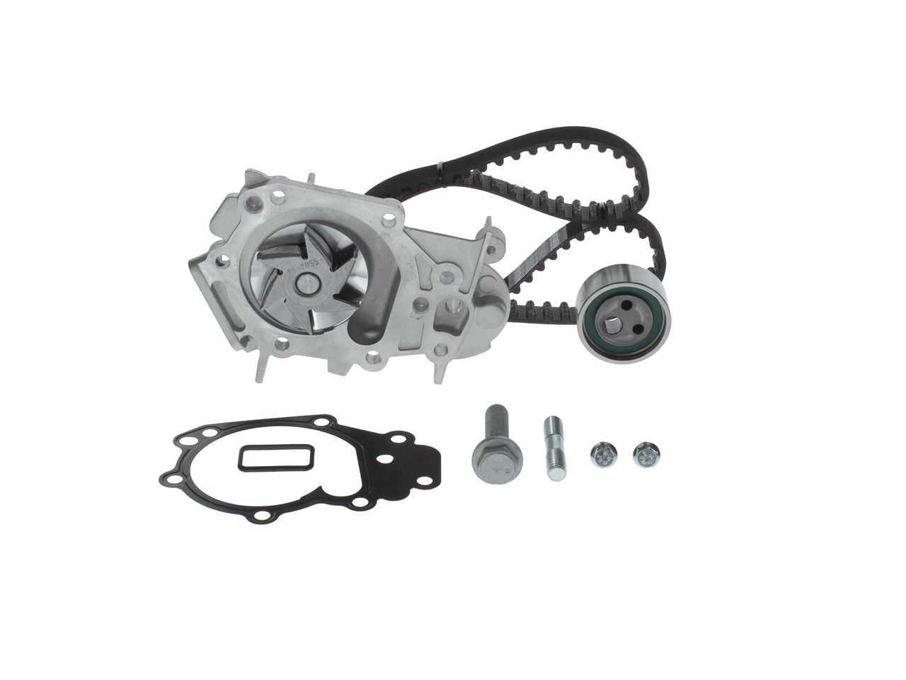 Set pompacinghia dentata